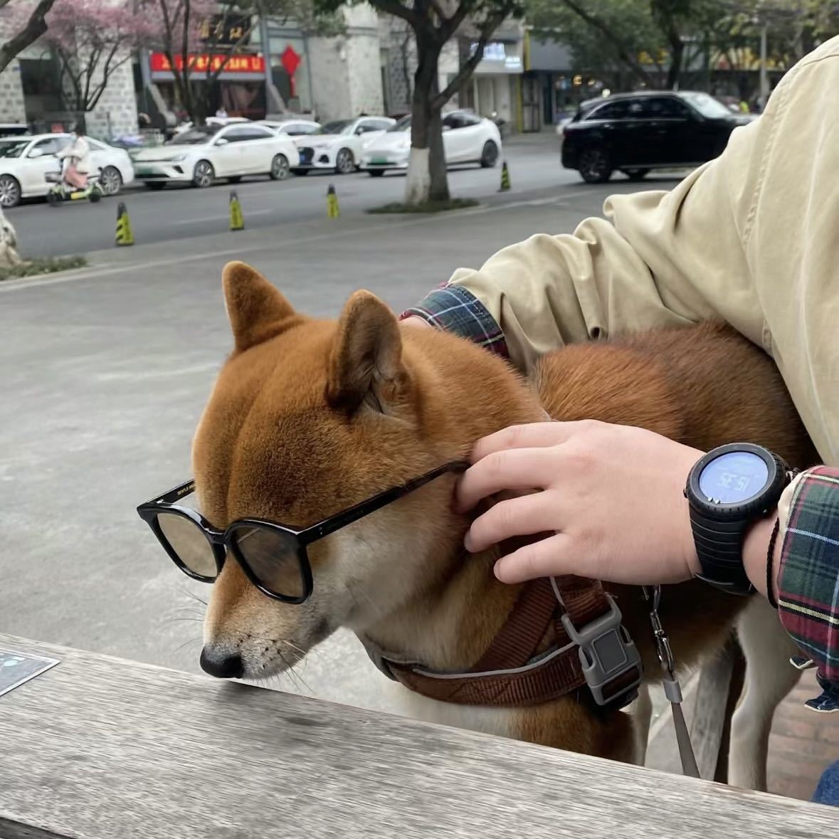 打我就溜（COO）